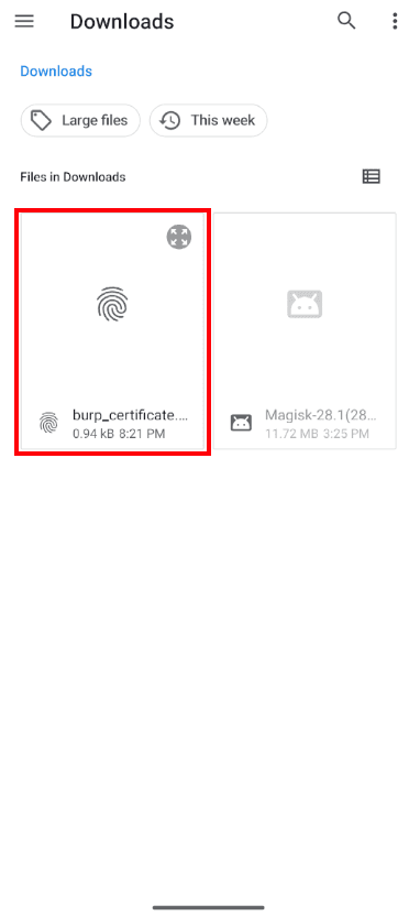 Instalación del certificado como CA Certificate — paso 2