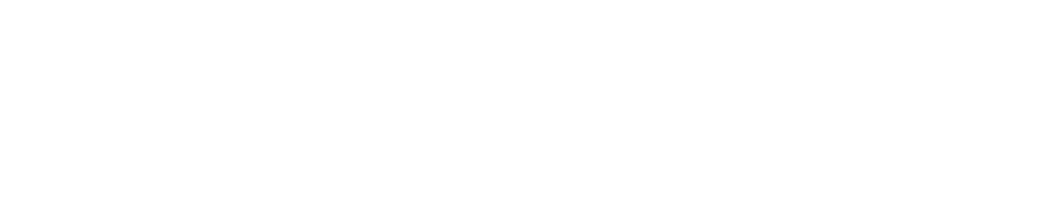 Secra Solutions Logo